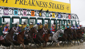 preakness-predictions-could-justify-be-a-shoo-in